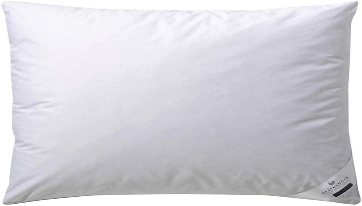 Billerbeck down pillow Martina - Pernă în 80 X 80 Cm - Pernă cu suport ferm - Gâscă jos 15% și pene 85%