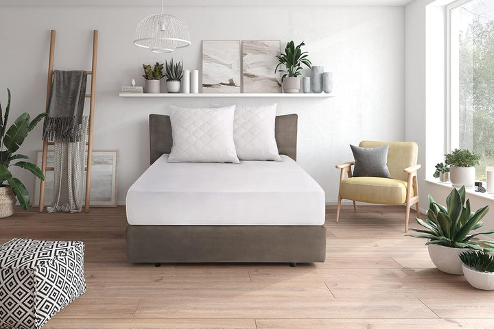 Traumnacht Cozy - Set de 2 perne cu husă din microfibră moale, pernă certificată Oeko-Tex cu fermoar, 80X80 cm, produsă în conformitate cu standardul de calitate german